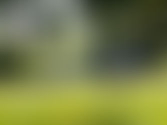 36th Annual Golf Classic Results