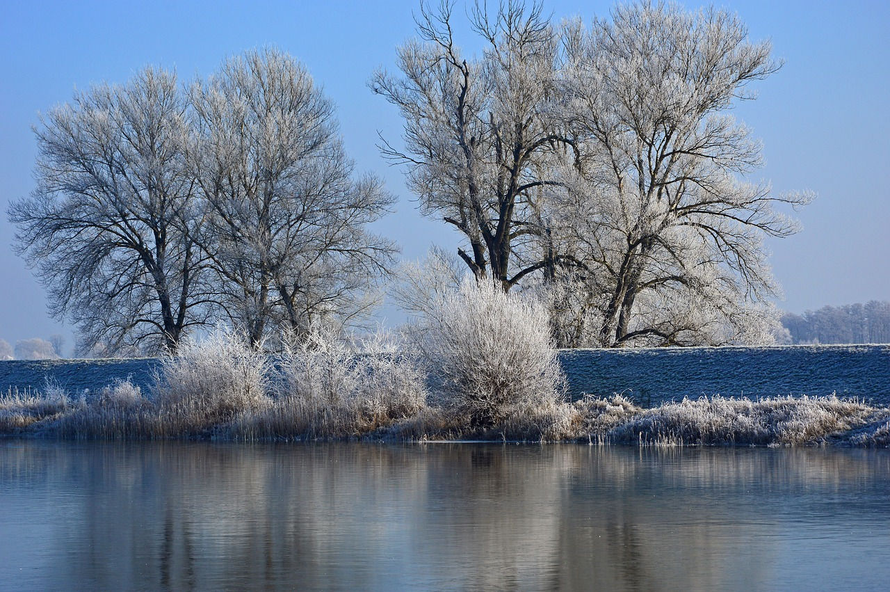 Kühle Farbgestaltung einer Winterlandschaft