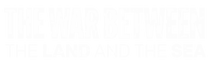 TWBLAS