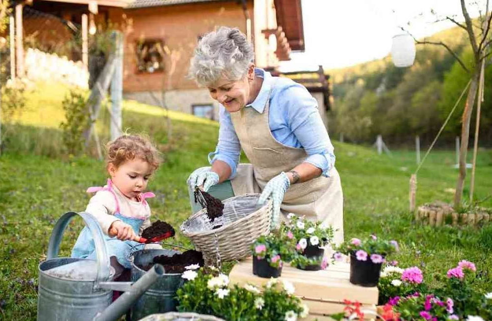 Retraite À quoi peut prétendre une personne qui n