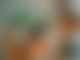 Arrêtez d’offrir des plantes aux gens qui n’en ont pas chez eux : voici pourquoi