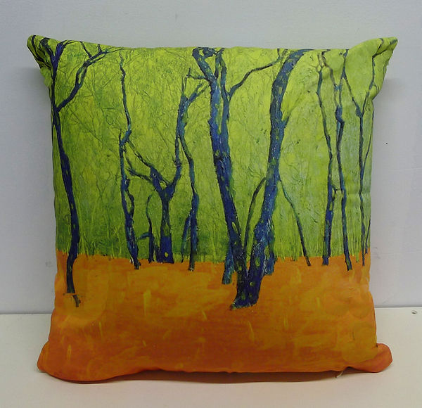 pillow cropeed and leveled 11.20.25.jpg