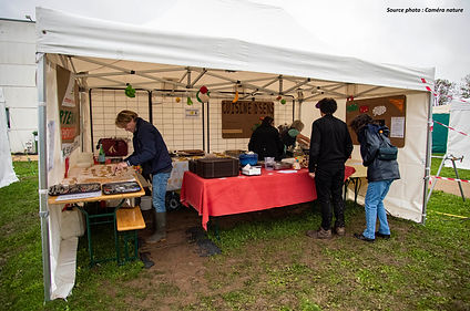 AB_-_DSC3153c (Thierry Wattez) 3.jpg