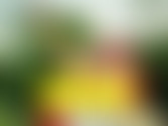 assamese caption for instagram