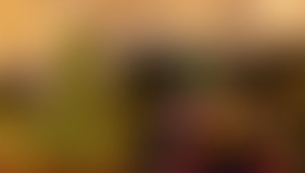 Best Things to Do in Delray Beach This Holiday Season