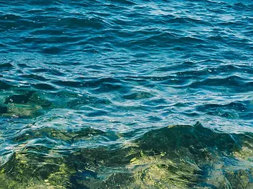 Clean waters, clean sea