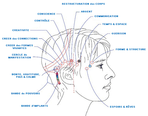 schema tete access bars consciousness