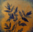 Tree Peony