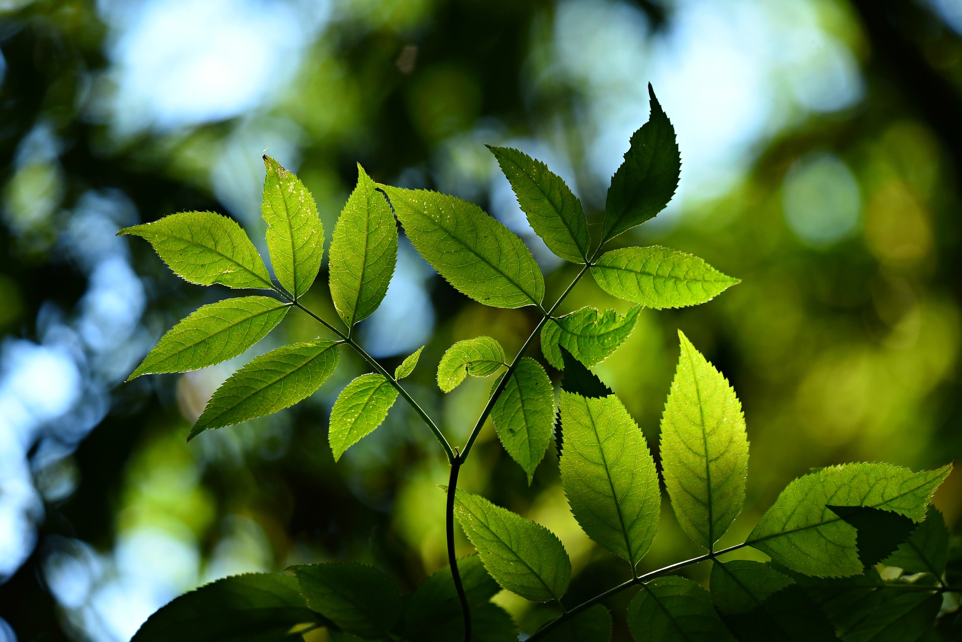 Medio Ambiente