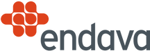 Endava (1).png