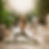 Urban Oasis: Morning Yoga Flow & Meditation at Folivana Dubai