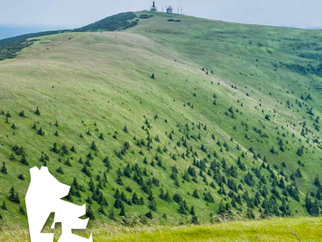 MÄDVEDIE FAKTY Č. 4 NÁRODNÉ PARKY