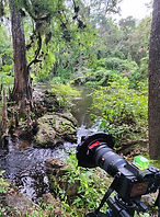 WhatsApp Image 2025-10-23 at 18.24.26.jpg