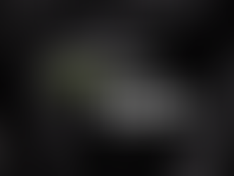 SEO 2025 with Cinch's Digital Marketing in Calgary 