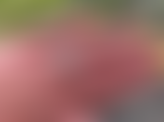 Let's Find That Perfect Wedding Band in Red Deer