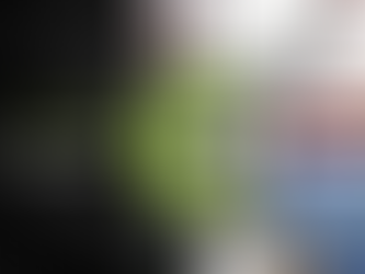 Our Website Design Portfolio