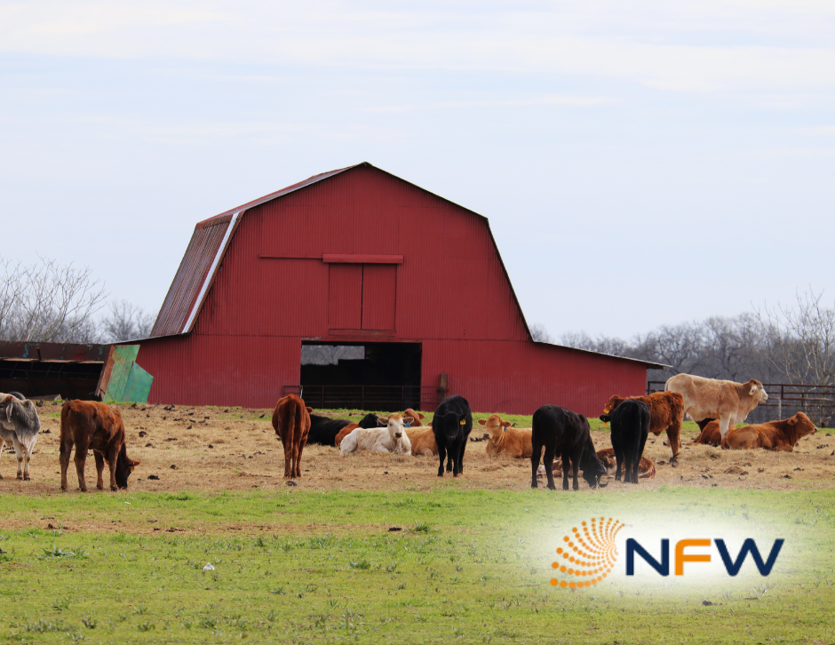 Barn Insulation with Spray Foam 