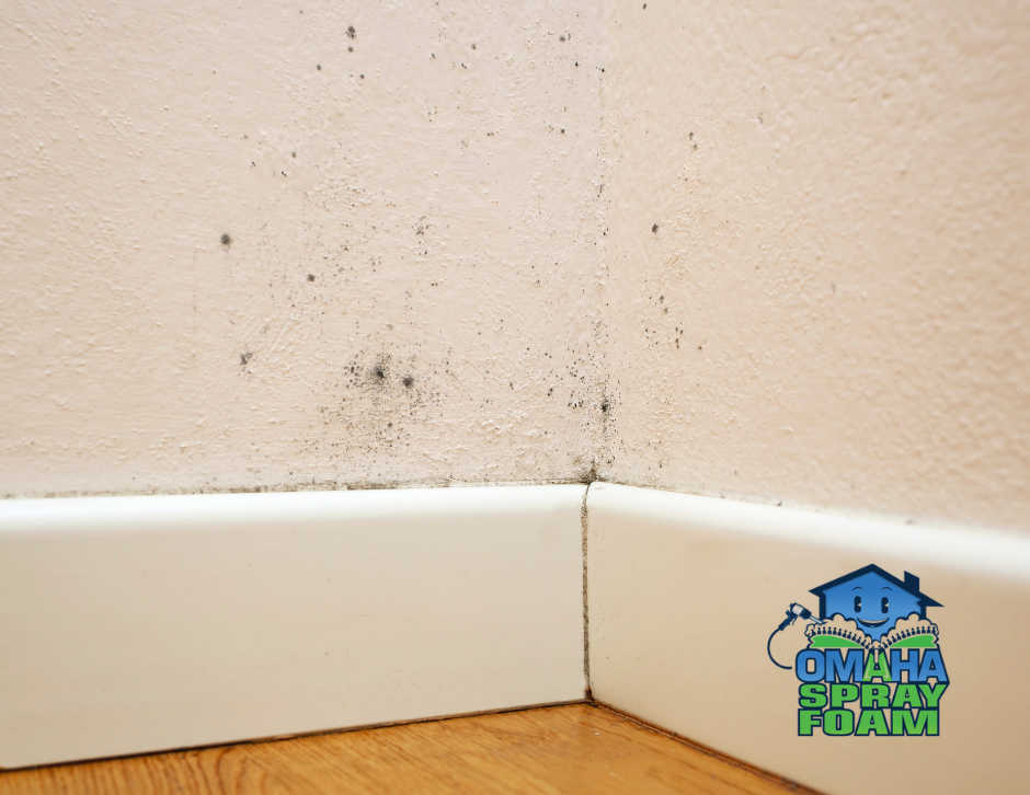 spray foam insulation prevent condensation