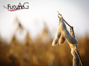 Canada is the Second-Largest Importer of Soybean Oil