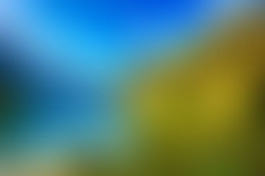 I'm off to New Zealand