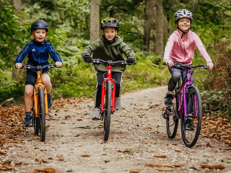 Kids want to play in the real world, but parents think they're safer online