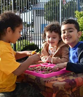 Get the academics right -- not dental care and DEI -- to help needy kids