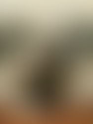 Academia looks in the mirror: Who's that timid conformist looking back?