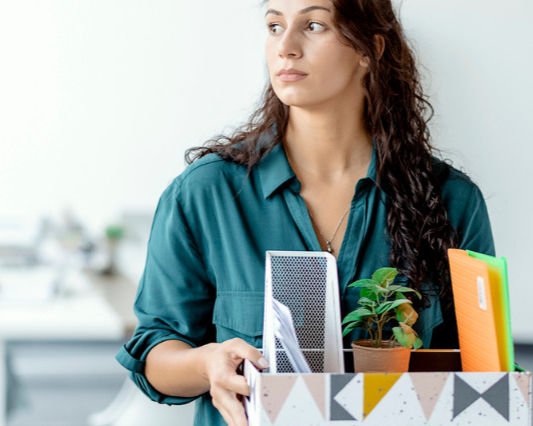 'When do I get to teach history?' Classical schools hire 'refugee' teachers