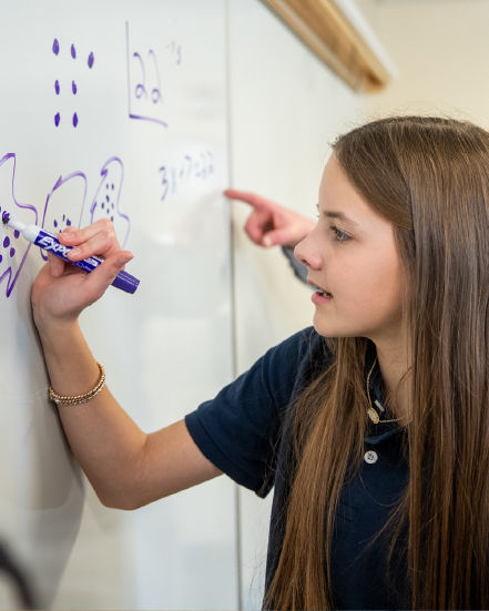 Education meets the free market: Who wins and who loses?