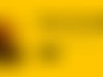 No need to listen, read, write or think: AI will do college for you