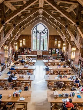 Zombifying the universities