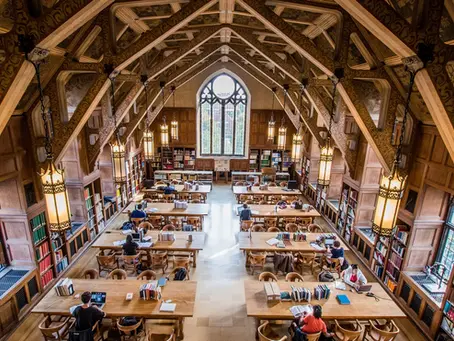 Zombifying the universities