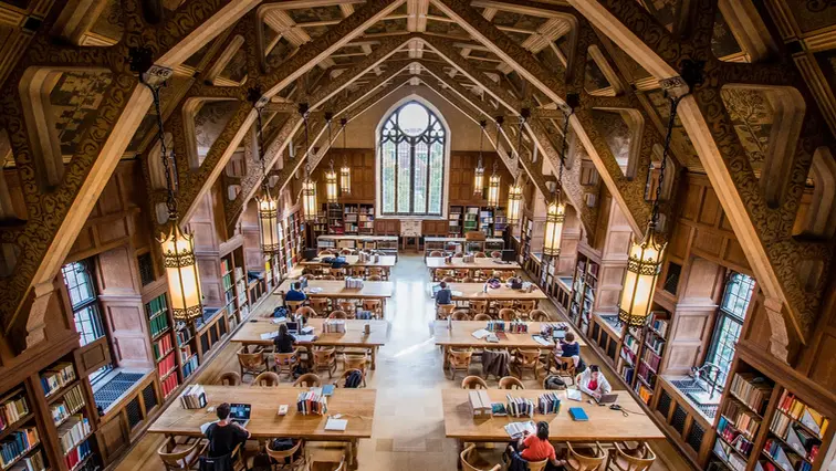Zombifying the universities