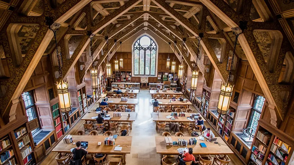 Zombifying the universities