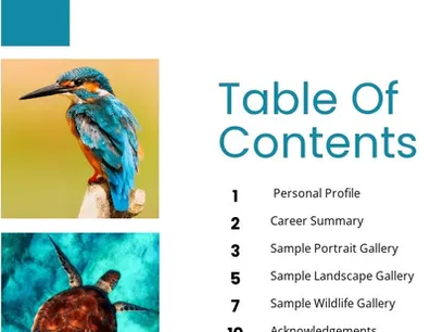 Research & analysis on some different types of magazines content page design