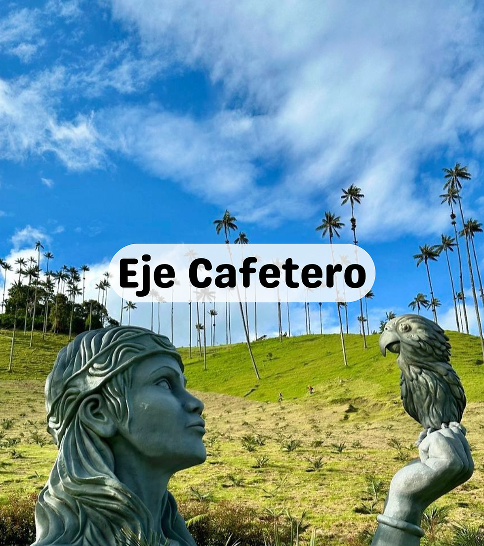 Eje Cafetero web Beway