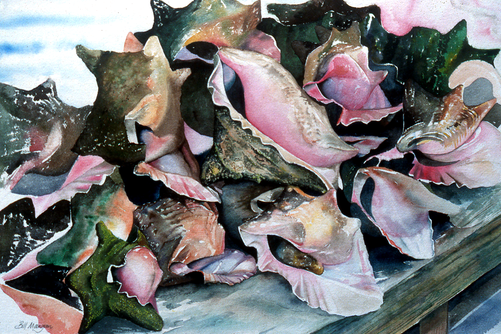 Conch Bench, Potters Cay