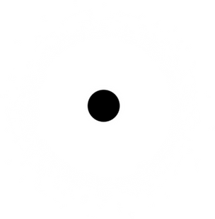 Party DJ Dallas Logo - white