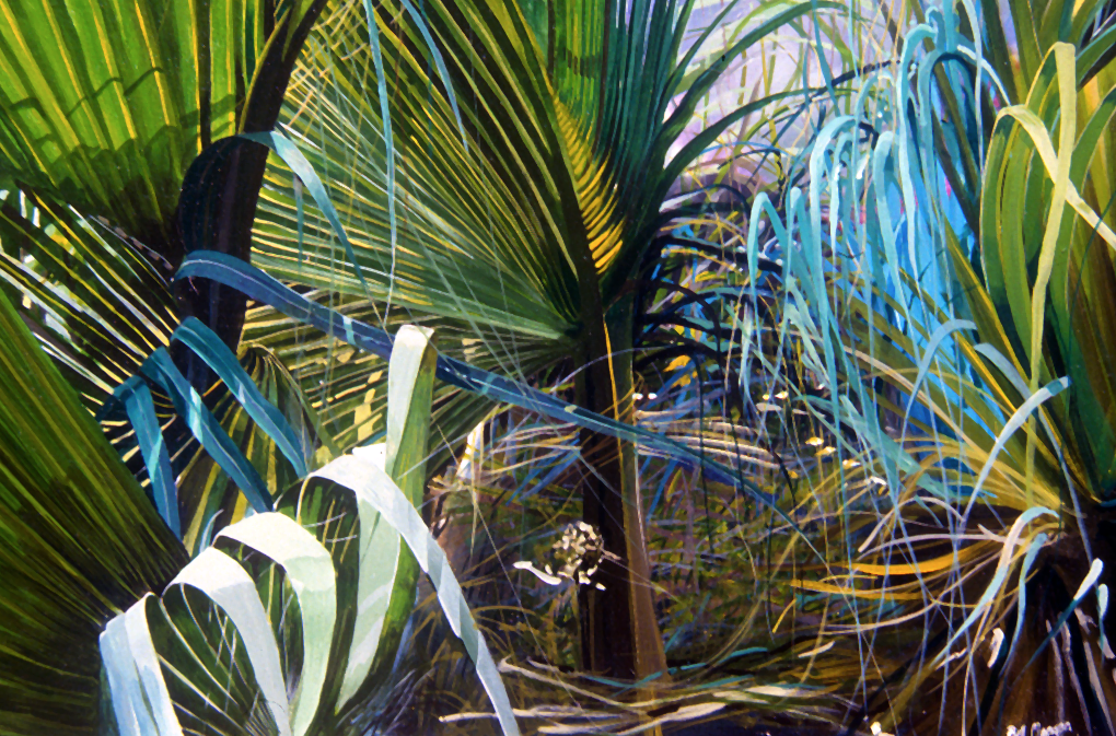 Bahamian undergrowth