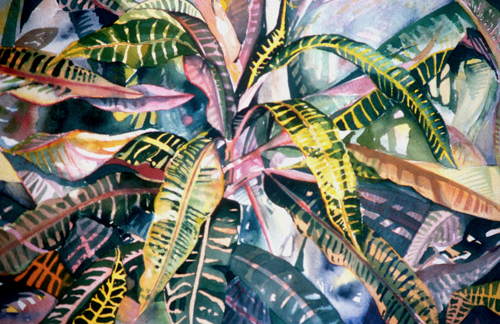 Yellow Crotons