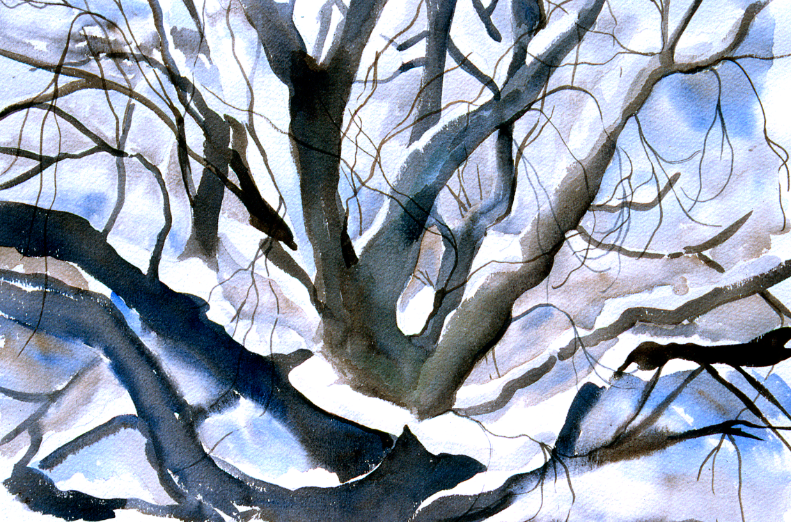 Mid Winter Tree