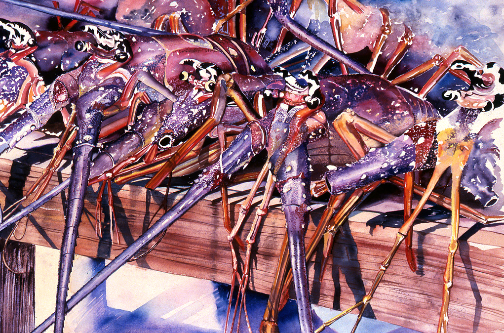 Crawfish Bench, Potters Cay Market
