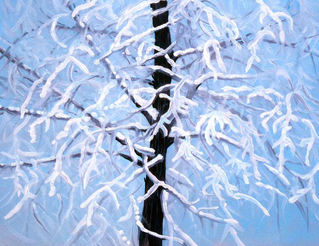 Early Winter