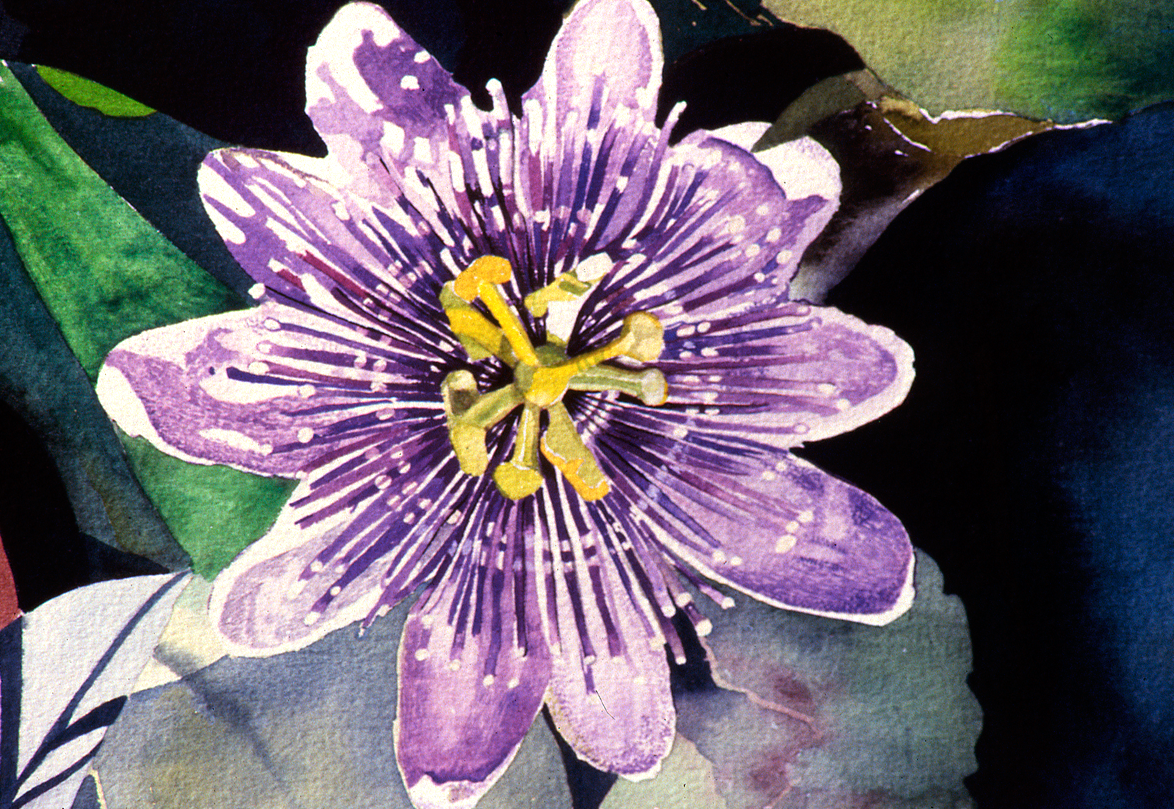 Passion Flower