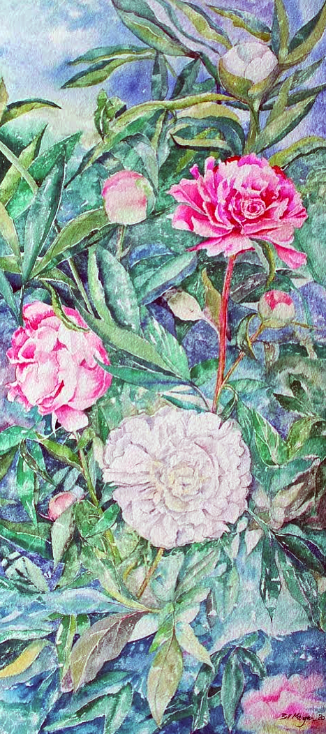 Linda’s Peonies
