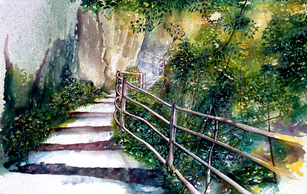 Swiss Mountain Steps