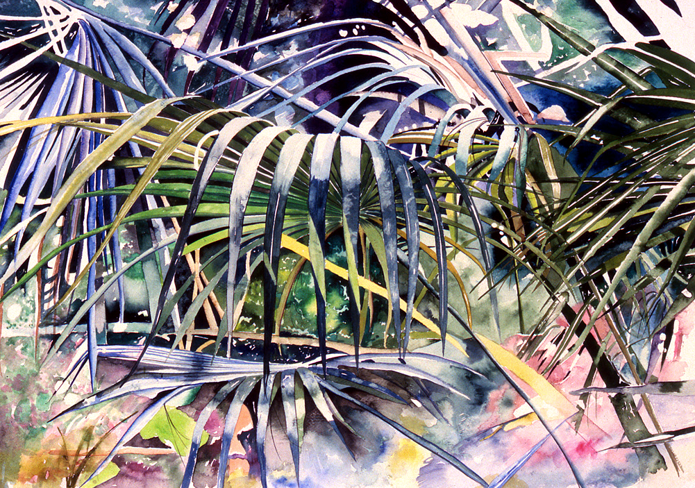 Fan Palms