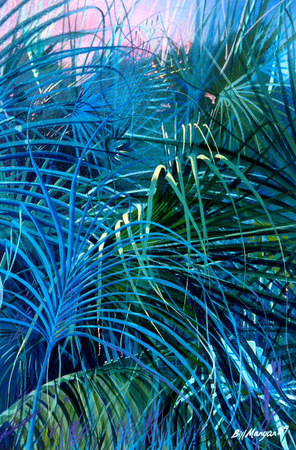 Fine Palms