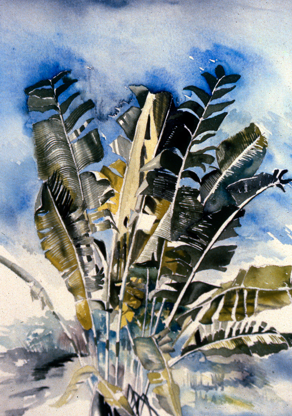 Travellers’ Palm