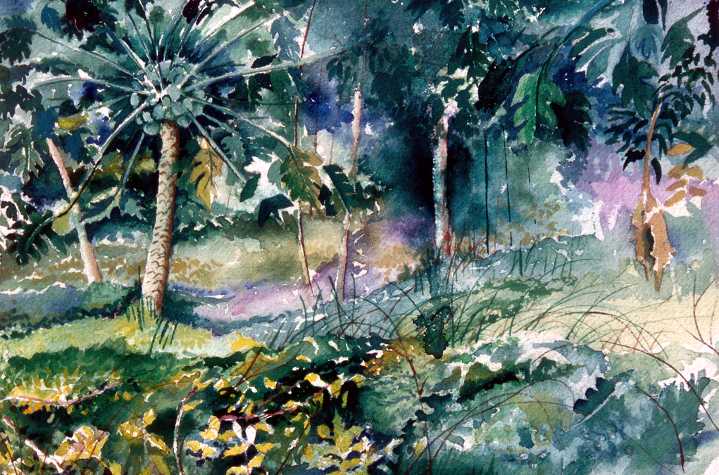 Breadfruit Tree